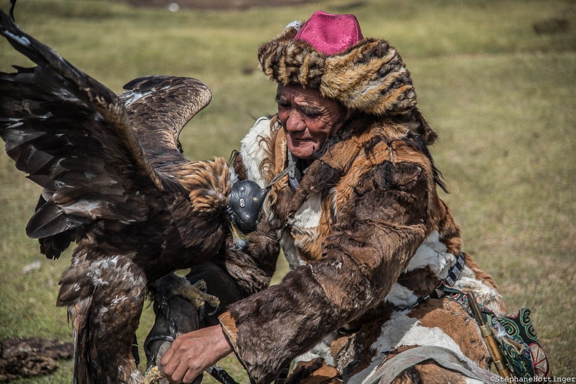 aigle chasse Mongolie