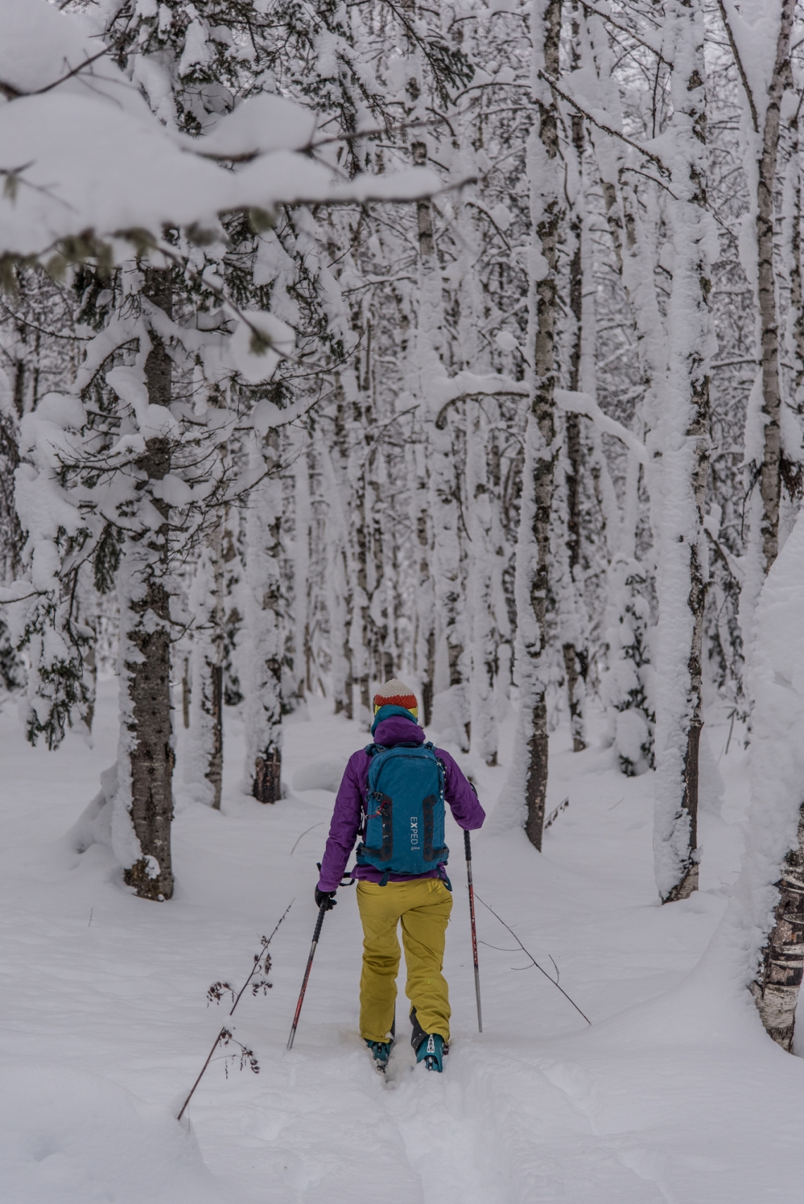 skiing in siberia